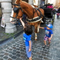 Little kids admiring the horse